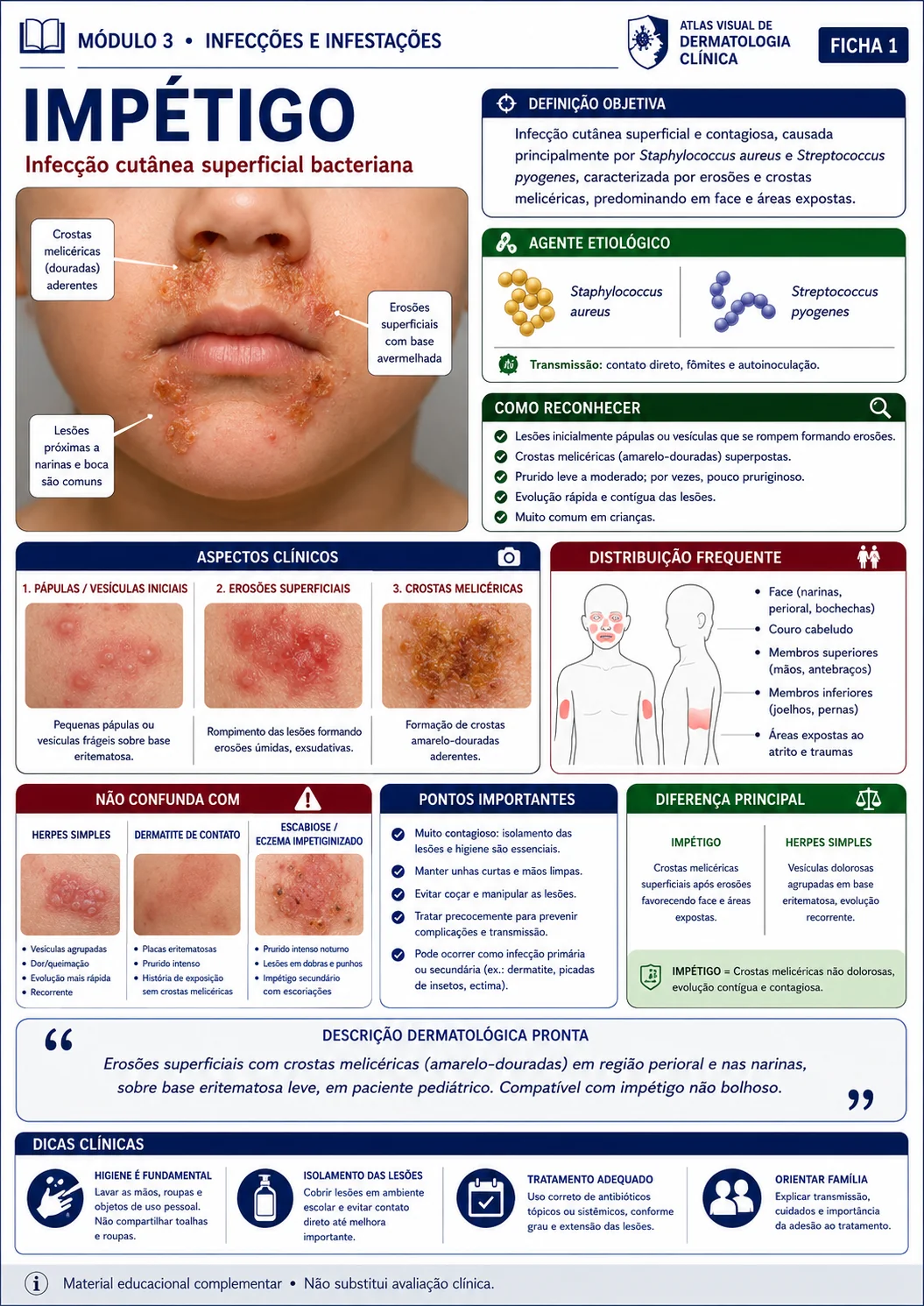 Ficha visual de dermatologia sobre impetigo