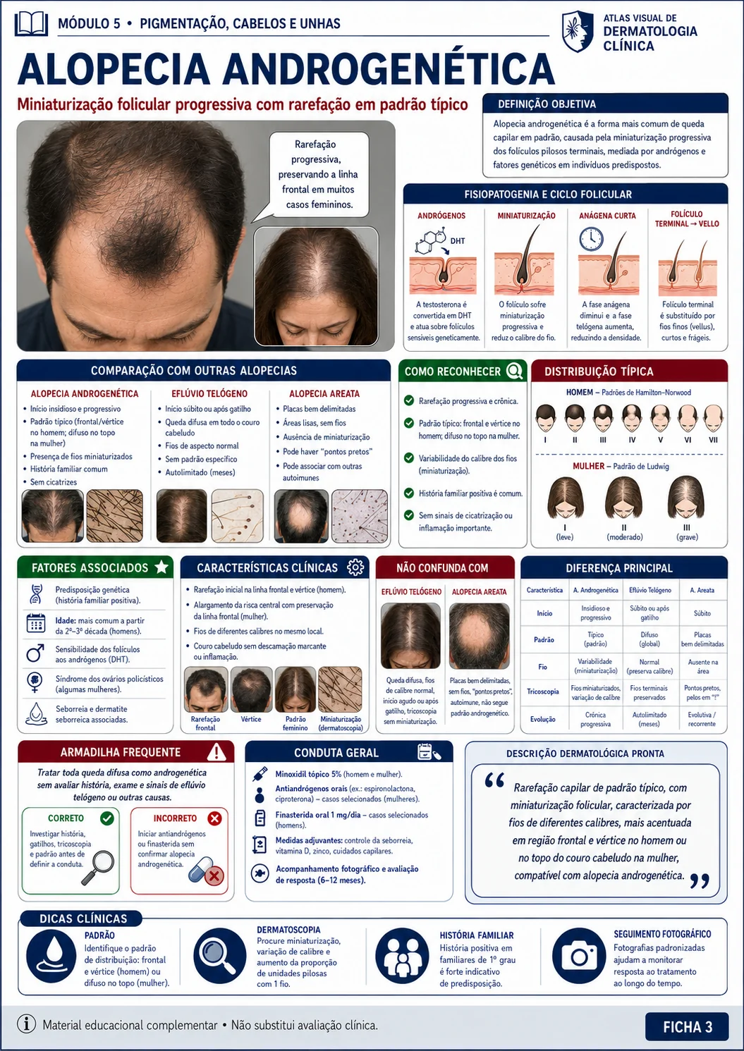 Ficha visual de dermatologia sobre alopecia androgenética